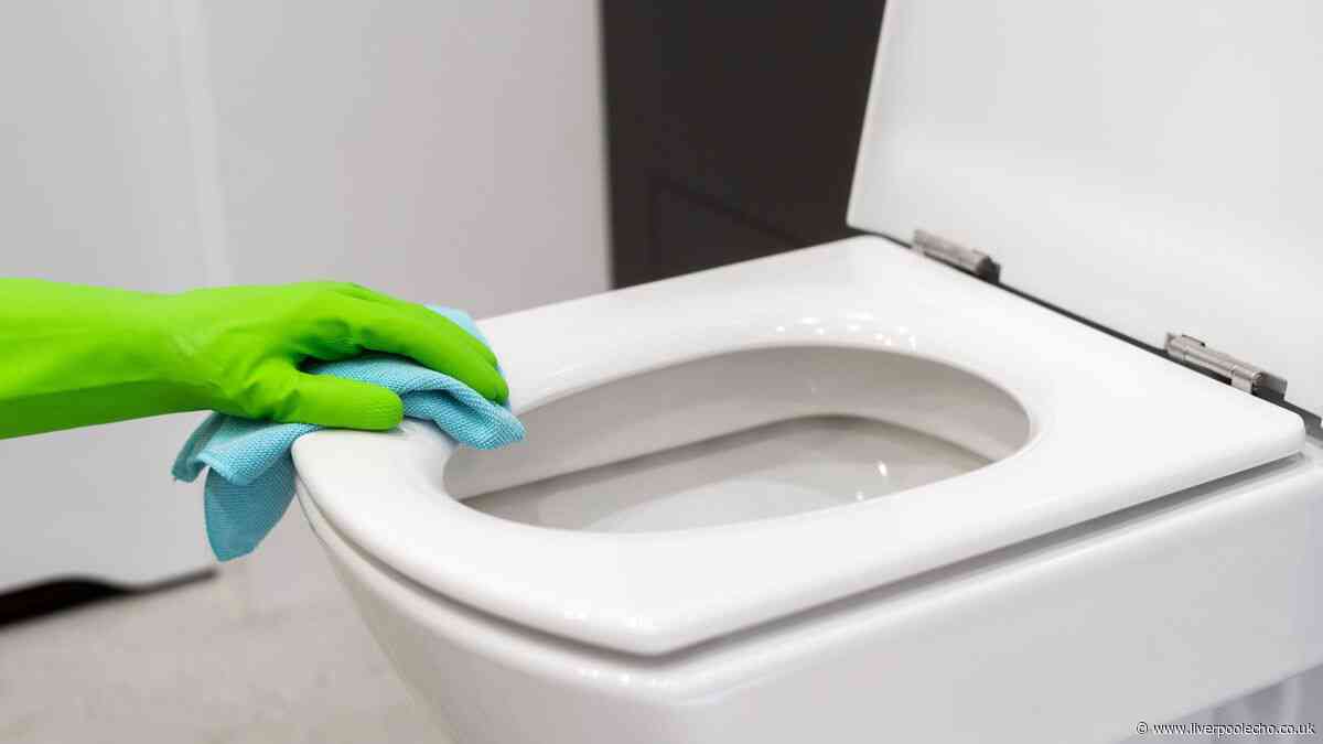 Professional cleaners share how to get a toilet seat 'brilliant white' again without replacing it