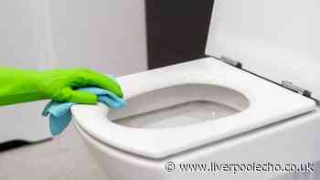 Professional cleaners share how to get a toilet seat 'brilliant white' again without replacing it