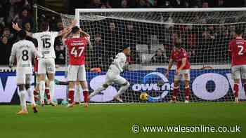 How to watch Swansea City v Wrexham - TV channel and kick-off time