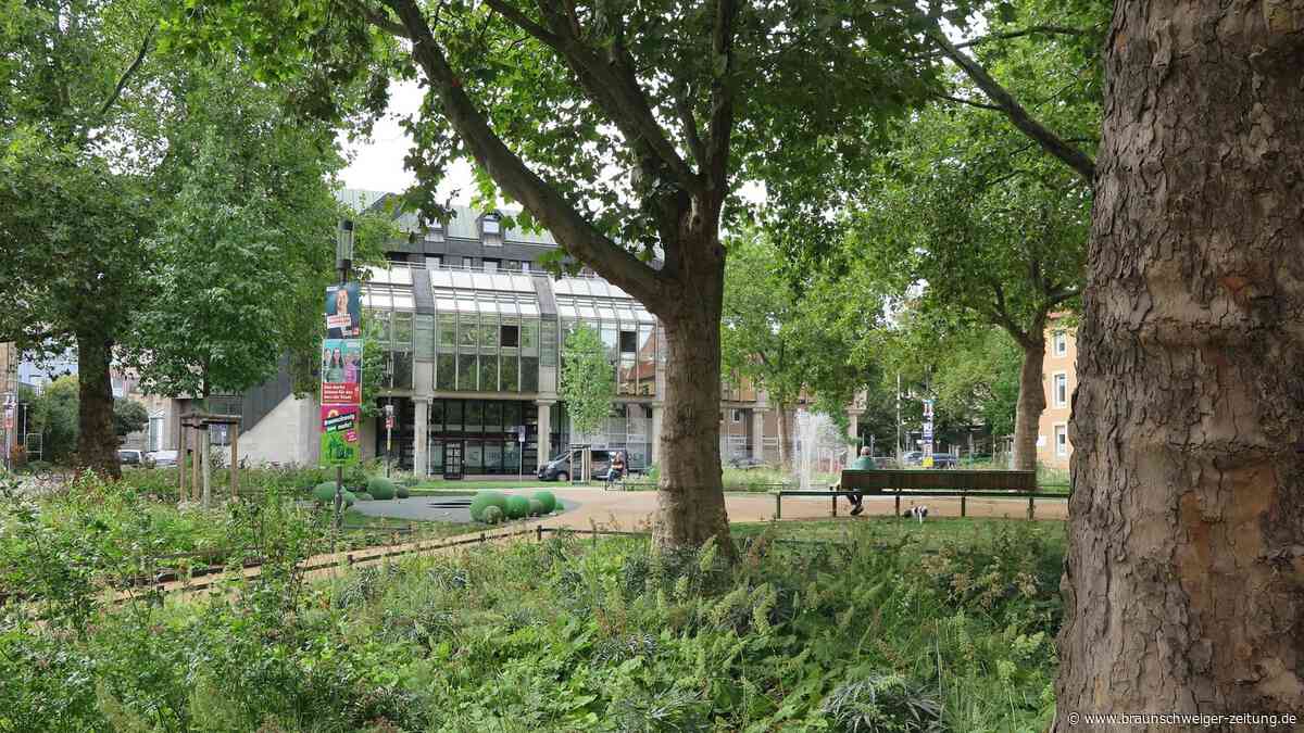 Viel Anti-Pocketpark-Polemik, kaum Baumschutz im Kommunalwahlkampf
