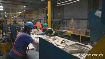 Brink Forest Products to cut 50 jobs at its Prince George lumber plant