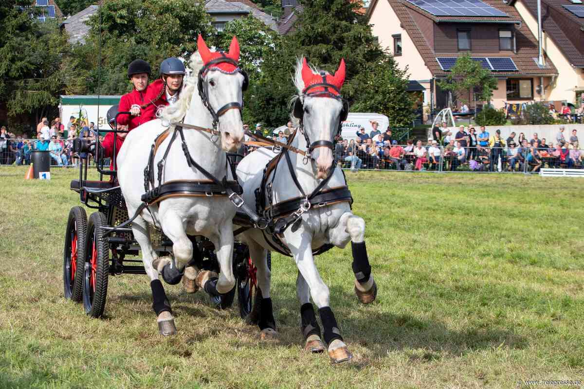 Pferdeschau in Großfriesen: Das erwartet Besucher