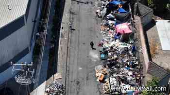 San Francisco Democrats spent MILLIONS on $100K cabins for the homeless. A year later and they're empty