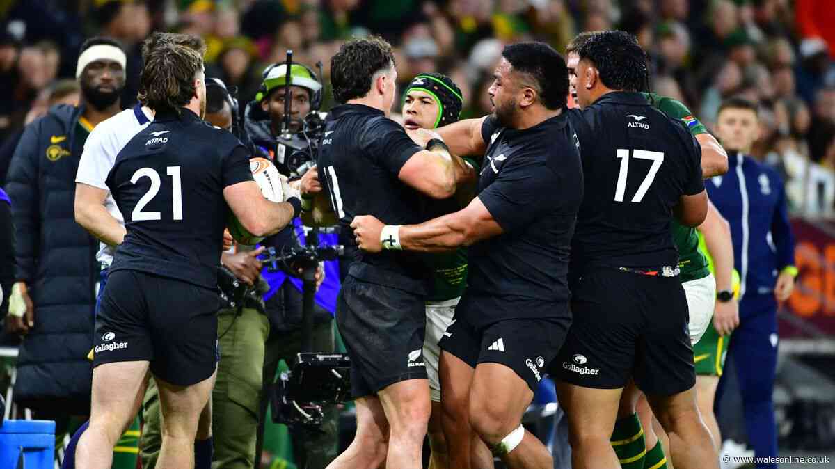 Springboks legend sends World Rugby U-turn demand as finger pointed at culprits