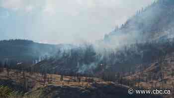 Critic calls on B.C. to salvage more wildfire-burned timber, province says that's 'unrealistic.' Here's why