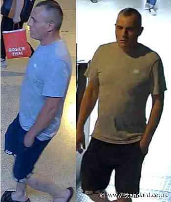 Police hunt man after sexual assault on train in east London