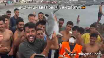 10,000 migrants are living in makeshift tents on a beach covered in human waste... and with them comes a crime wave of 21 sex attacks, including nine on children. For anyone still advocating open borders, welcome to the dystopian Spanish enclave of Ceuta