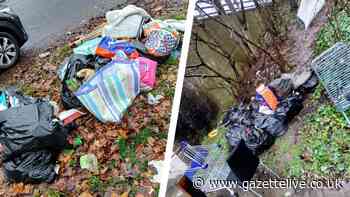 Litter-bug and suspected fly-tipper fined hundreds after bags of rubbish dumped in Hemlington