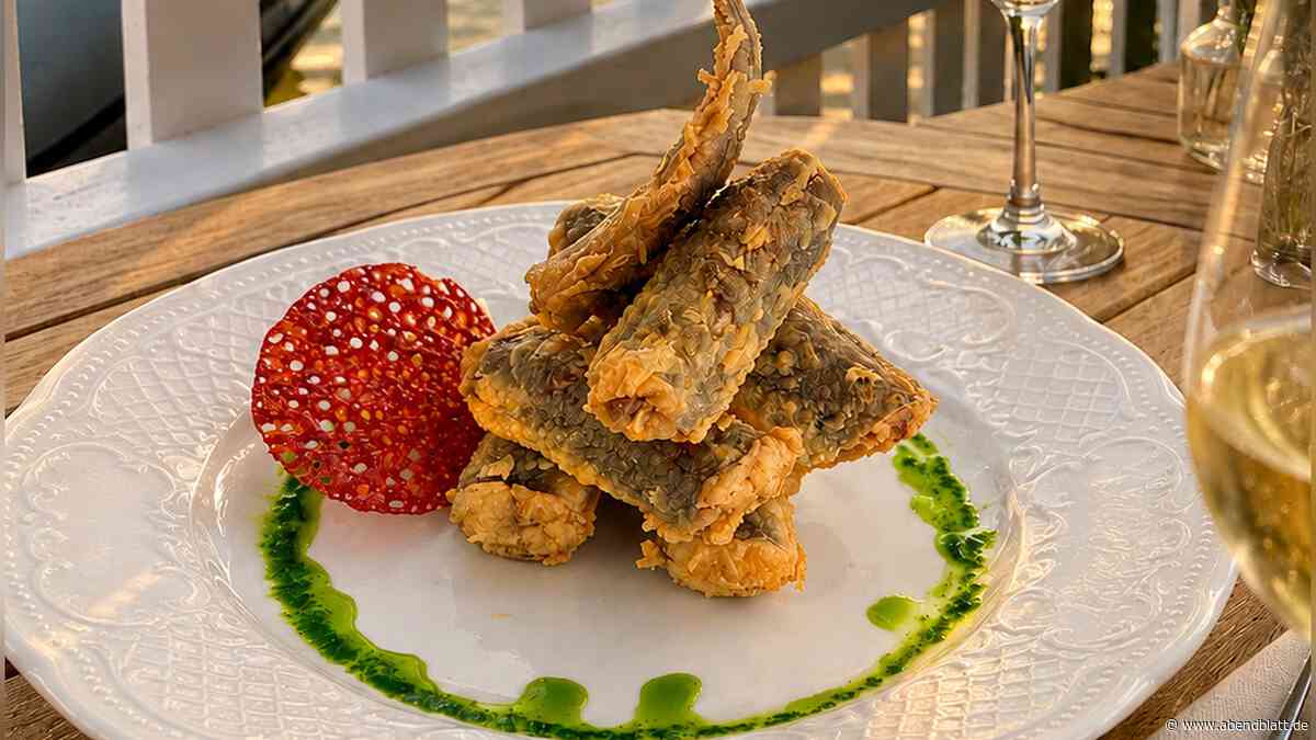 Aale, Aale, Aale: Wo man den Fisch jetzt noch frisch aus der Elbe genießen kann