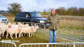 Sheep stolen from Clarkson's Diddly Squat Farm