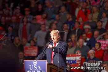 Ex-MAGA Supporters Reveal Fear, Rage and Conspiracy Theories Pulled Them Into Trump's Movement