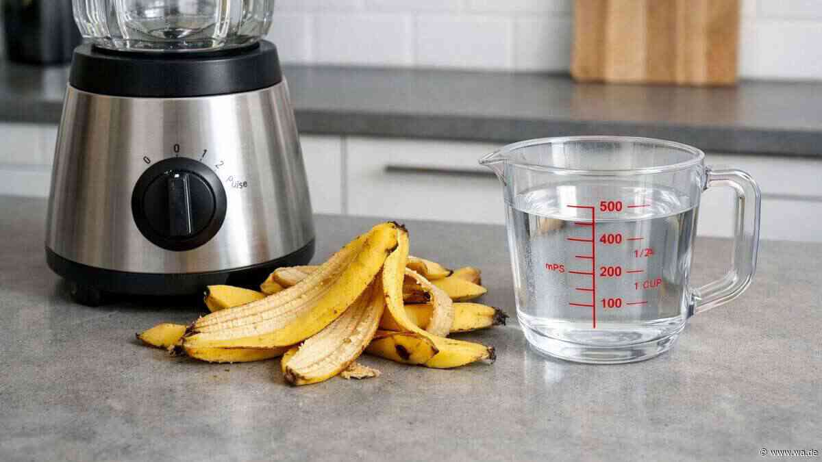Genialer Garten-Trick: Warum Sie diesen Küchenabfall für Ihre Hortensien nutzen sollten