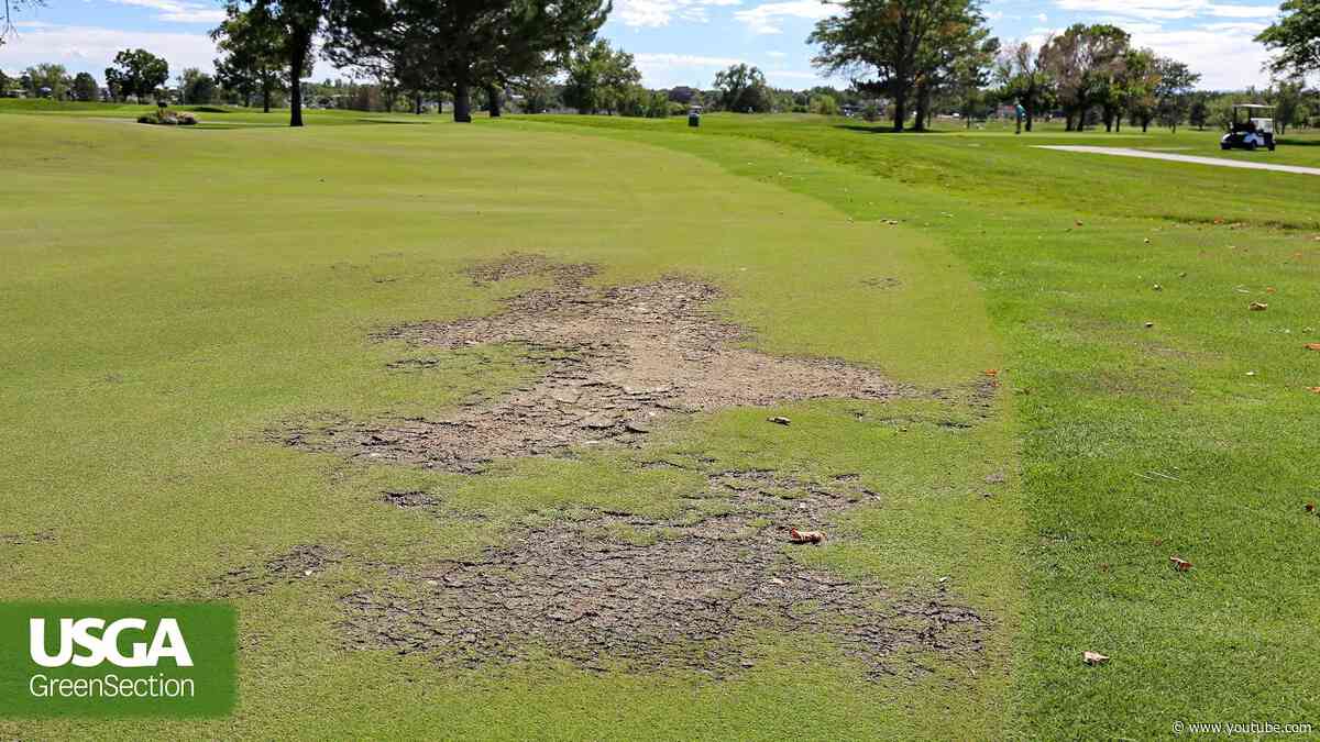 Dealing With Damaged Grass on a Golf Course