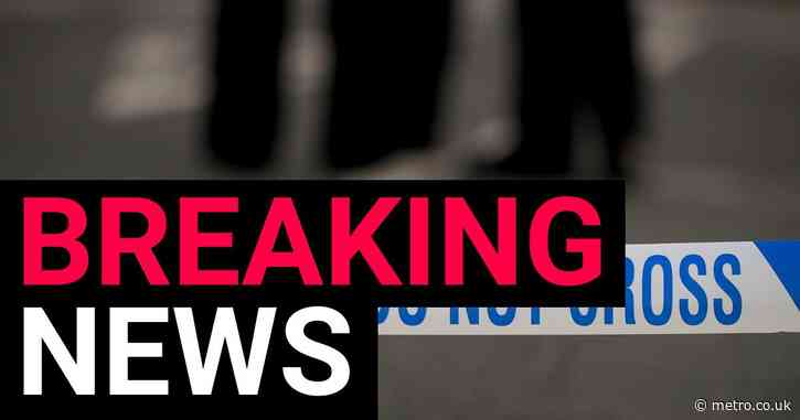 Murder investigation launched after man dies from severe head injuries in south London