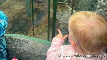 'We went to the UK's best zoo with a toddler in the rain and saw 60 animals'