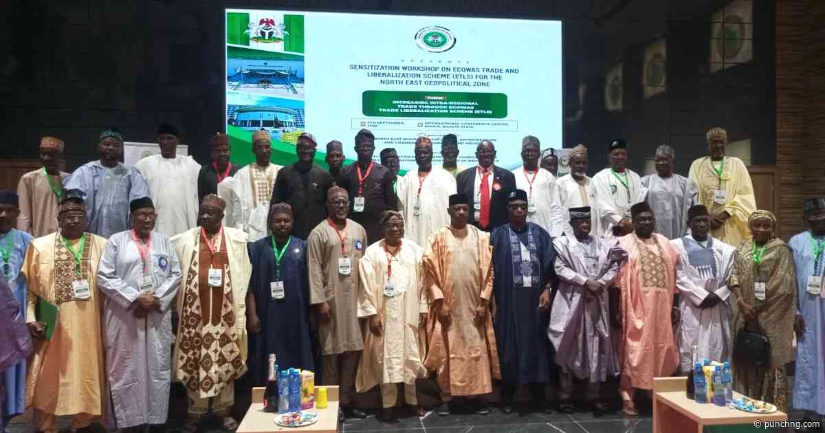 Tinubu’s reforms have stabilised Nigeria’s economy, says minister
