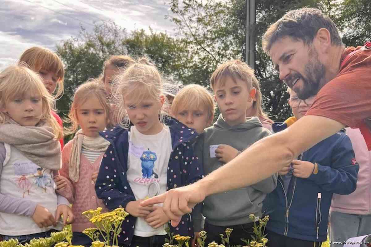 Oberlauterbach: Grundschüler erforschen Hecken, Laub und Steine