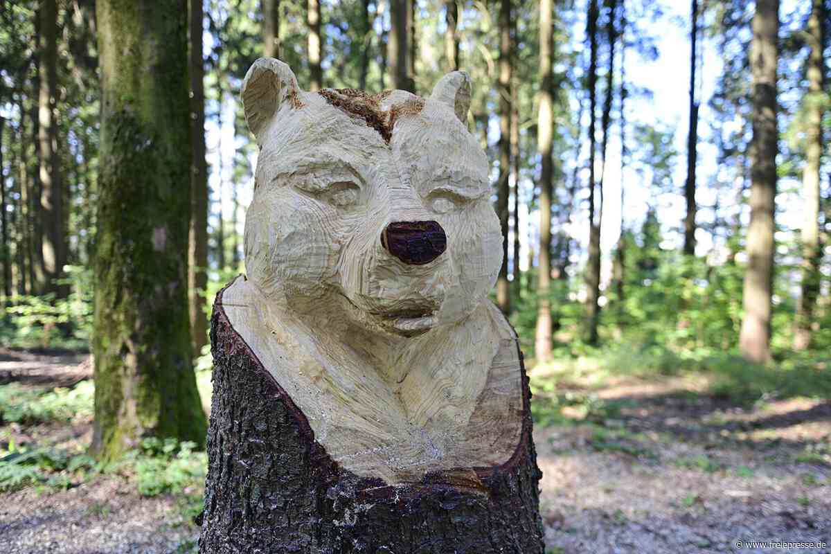 Dieser Stadtpark wird zum Märchenwald im Vogtland