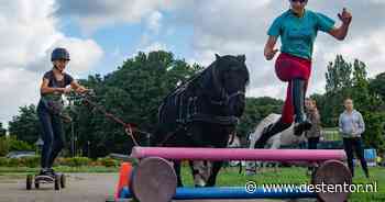 Midden in het dorp achter een pony aan (maar dan op een skateboard): ‘Het is relaxed’
