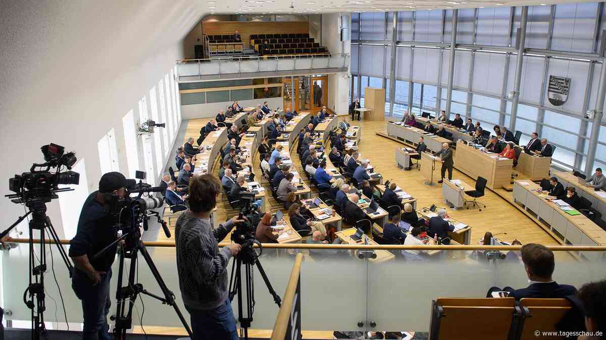 Wahl in Sachsen-Anhalt: Welche Koalitionsoptionen gibt es?