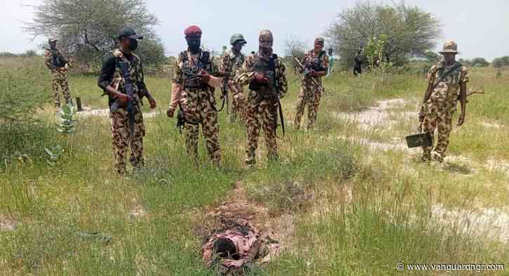 Two teenage terrorists surrender, 11-year-old female captive rescued