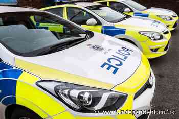 Murder investigation launched after man dies with head injuries in south London