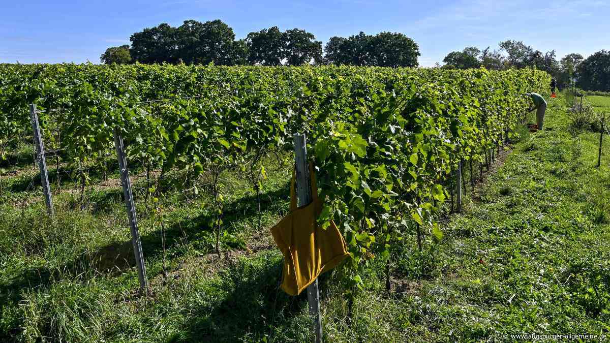 Ein schwieriges Jahr für die Landwirte