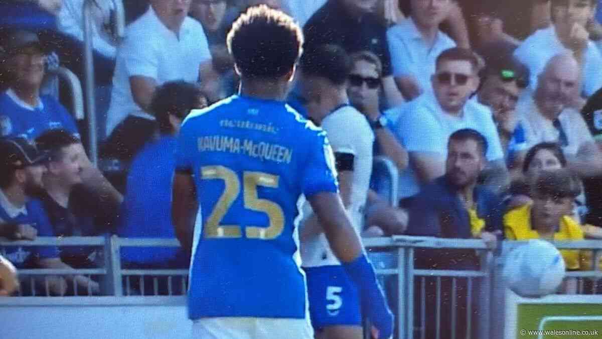 Portsmouth v Cardiff City match halted as Krystian Bielik involved in incident with fan