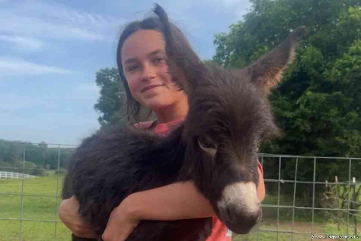 Georgia cop reveals why he shot dead a family’s pet donkey