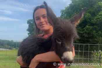 Georgia cop reveals why he shot dead a family’s pet donkey
