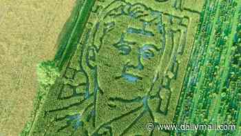 Cruel liberals bash family-run Midwest farm after they created Charlie Kirk corn maze in his memory
