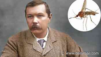 Why discovering malaria was elementary for Conan Doyle