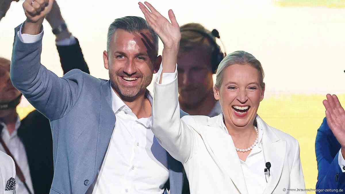 Alles anders? So radikal will sie AfD Sachsen-Anhalt verändern