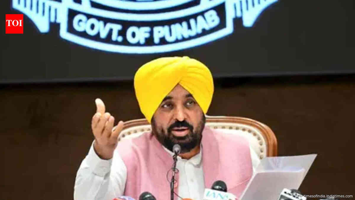 Punjab combines drug enforcement with addiction treatment in anti-narcotics drive