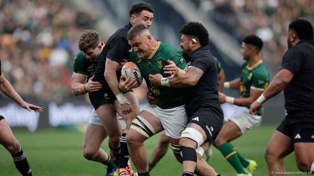 Springboks break New Zealand resistance to take stranglehold of series