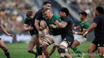 Springboks break New Zealand resistance to take stranglehold of series