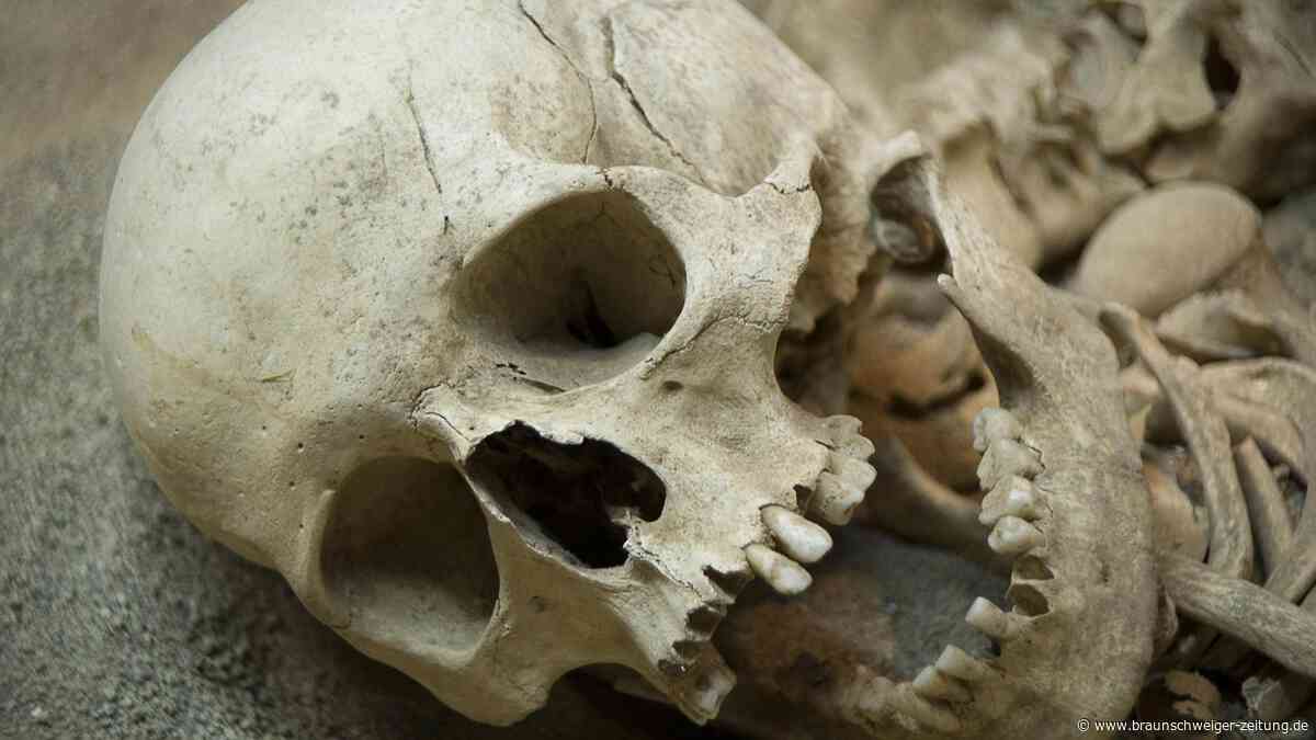 6.000 Jahre altes Geheimnis: Die mysteriösen Schädel vom Ribble Valley