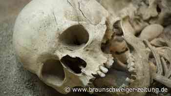 6.000 Jahre altes Geheimnis: Die mysteriösen Schädel vom Ribble Valley