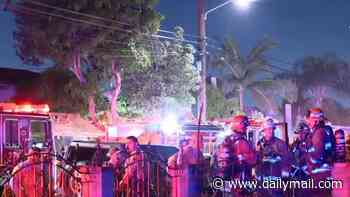 Mystery as two adults and child are shot dead before home goes up in flames in neighborhood that voted to disband its police department