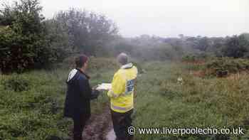 Five-week search for couple who disappeared from Aigburth led police to woods