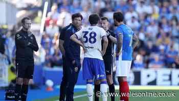 Barry-Murphy responds to Krystian Bielik's clash with Portsmouth fan as rival boss apologises
