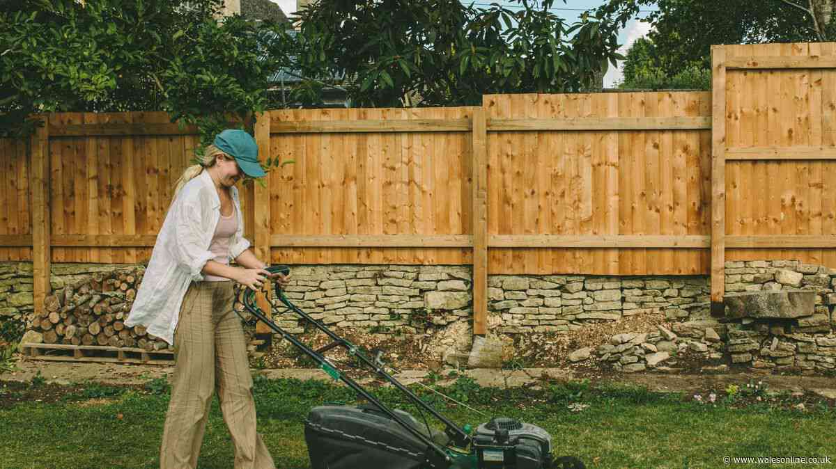 Welsh homes urged to do September job for thicker and healthier grass next spring