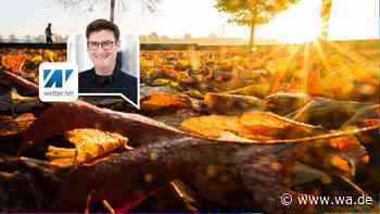 Temperatursturz in Deutschland: Doch Wetter-Modelle sehen noch Chance für spätes Sommer-Comeback