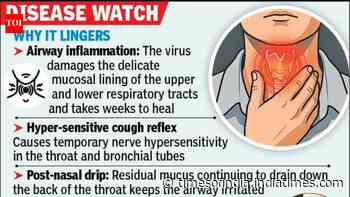 Kolkata croaks its way through temp swings after viral surge onslaught