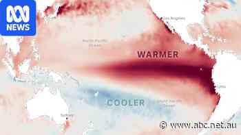Why this El Niño is different from all the others