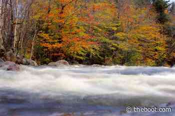 35 Photos of the Best National Parks to See Vivid Fall Colors