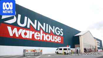 AI chatbots like Buddy at Bunnings years from becoming norm