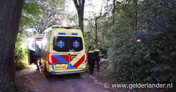 Persoon raakt bekneld tussen minigraver en boom in Grave