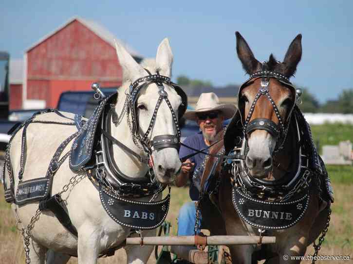 Lambton County match plows on Saturday