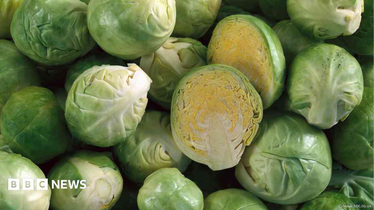 Could Brussels sprouts be off the Christmas menu?
